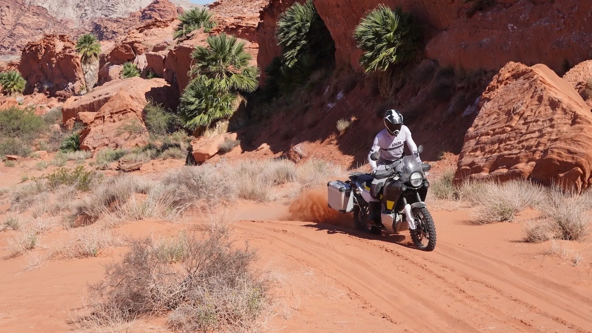 NastyNils riding a Husqvarna Norden 901 on a sandy desert trail. The terrain is typical Southwest off-road landscape with red sand, sparse vegetation, and rocky outcrops. Full protective adventure gear including helmet and light jacket. Daylight conditions, wide open desert vista. The bike's side profile and riding position are clearly visible against the expansive landscape.