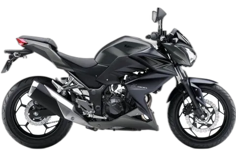 Kawasaki Z 300 (MY2015)