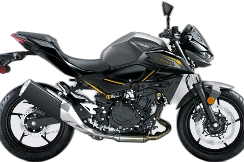Kawasaki Z 500 (MY2024)