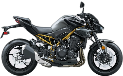 Kawasaki Z900 (MY2020)