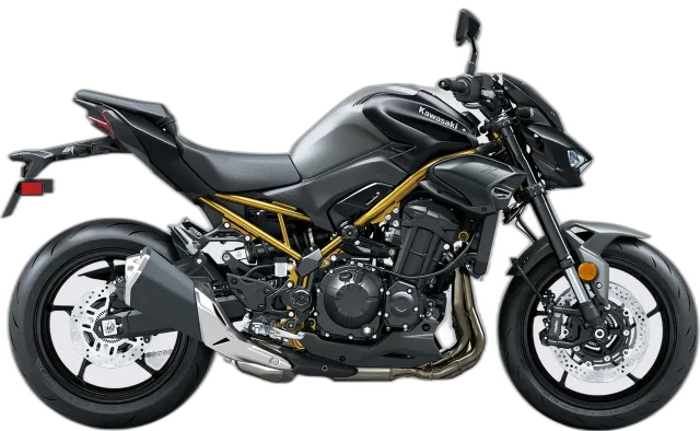 Kawasaki Z900 (MY2020)
