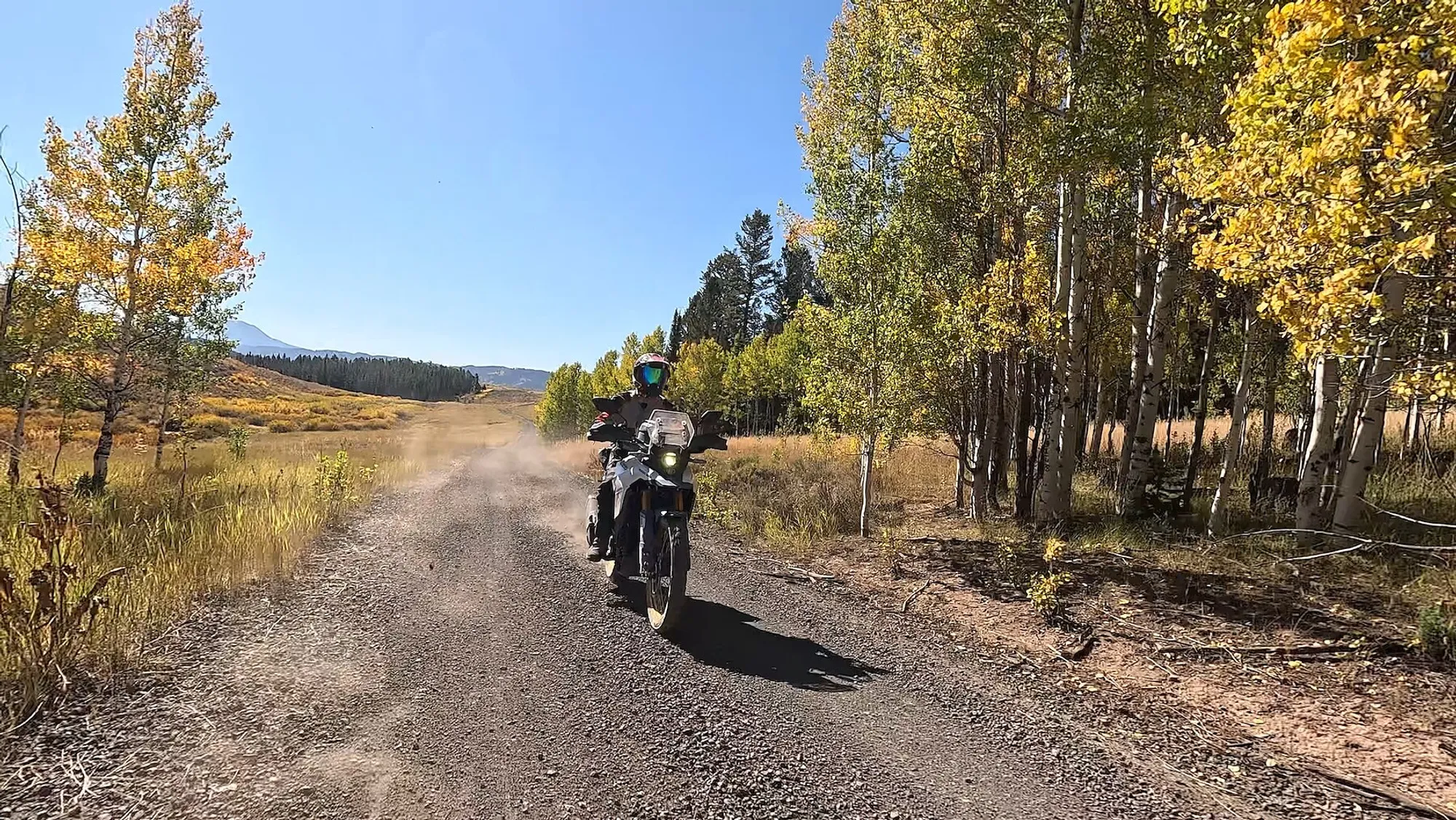 NastyNils riding a Suzuki V-Strom 800 DE on a gravel forest road in the Yellowstone area, Wyoming. Fall aspen and birch trees line the road in golden foliage. Mountains visible in the distant background. Dry, well-graded gravel surface. NastyNils wears a blue helmet and full riding gear, in focused concentration through the wilderness terrain. Daylight, clear sky.
