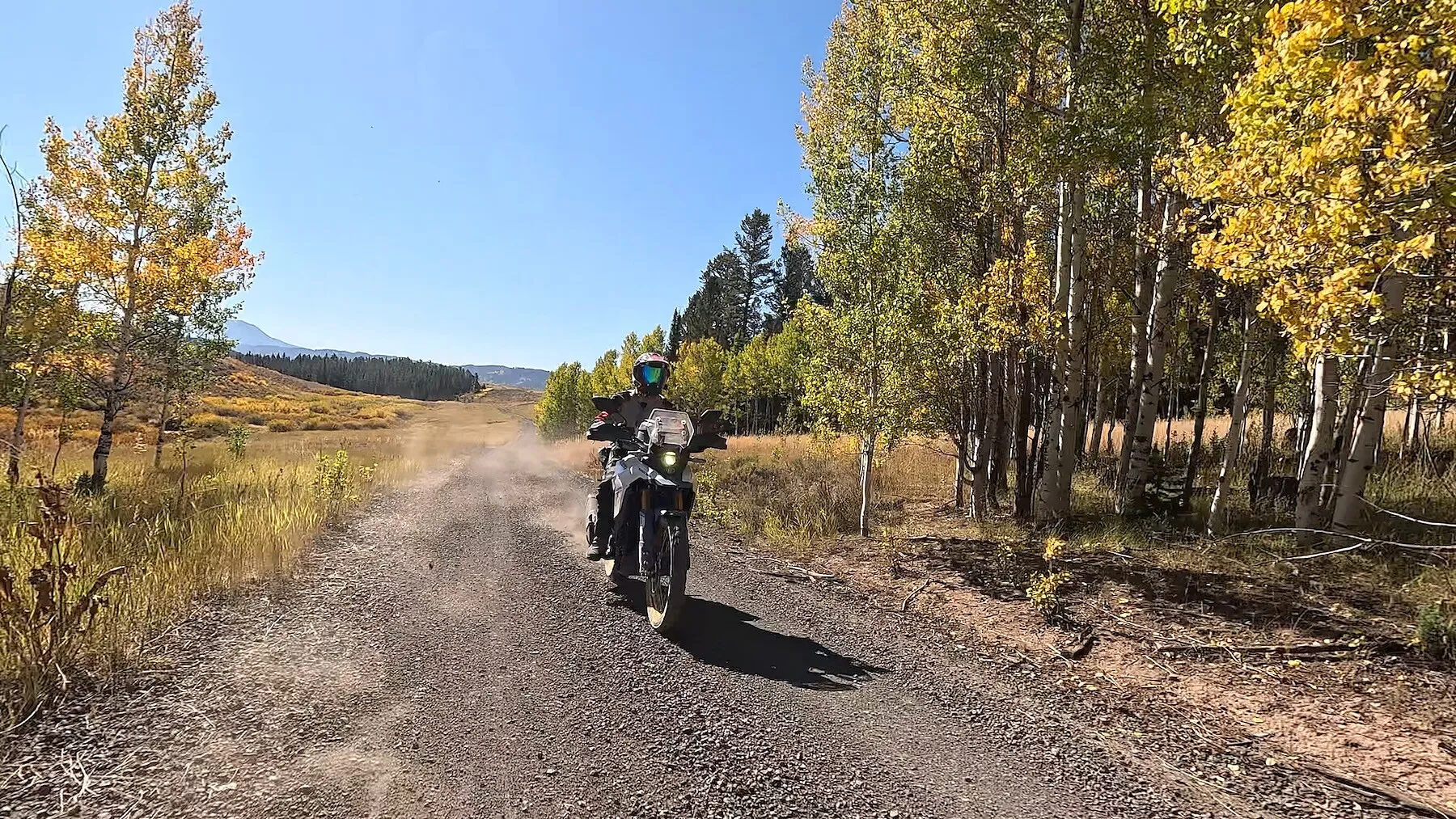 NastyNils riding a Suzuki V-Strom 800DE on a gravel forest road in the Yellowstone area, fall aspen and birch trees in golden foliage lining the road, distant mountains.