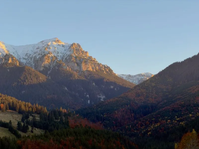Autumn in the Southern Carpathians: beech forest and a rocky ridgeline under low cloud, Romania.