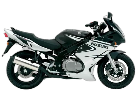 Suzuki GS 500 (MY2005)