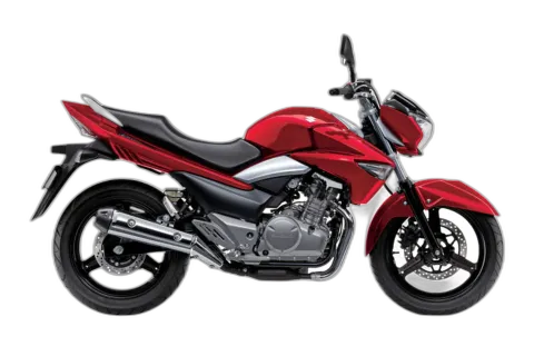 Suzuki GW250 Inazuma (MY2013)
