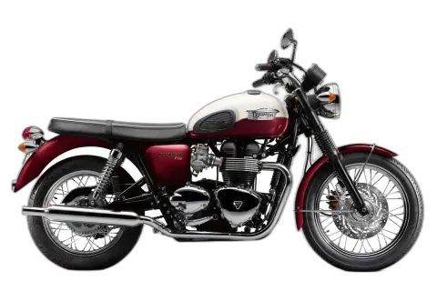 Triumph Bonneville T100 (986MF2)