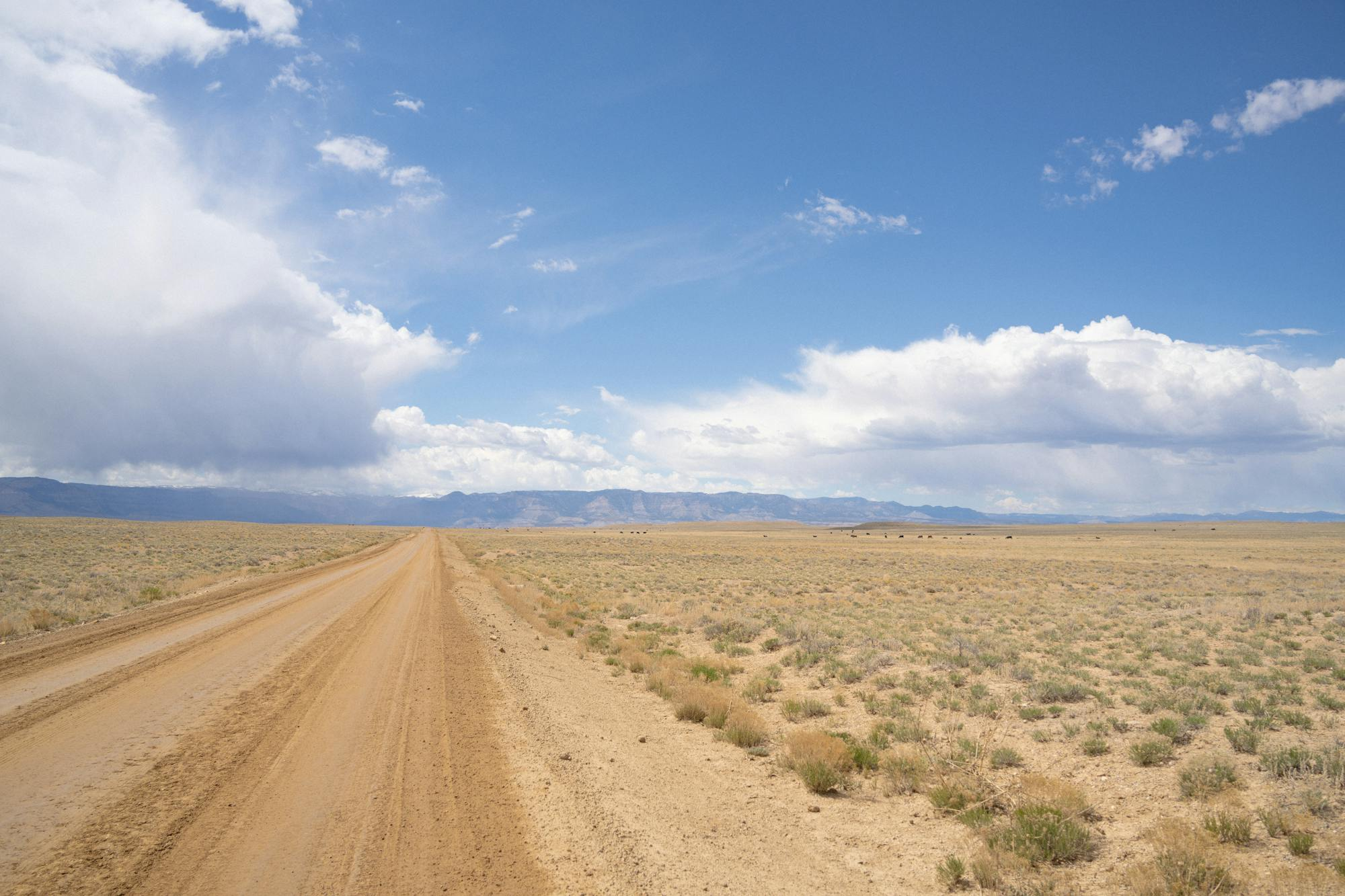 A remote desert road on the UTBDR stretching into the distance — exactly the terrain a real adventure bike is engineered for, and most are not.