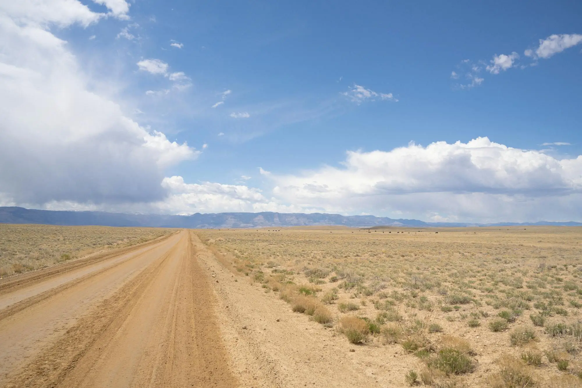 A remote desert road on the UTBDR stretching into the distance — exactly the terrain a real adventure bike is engineered for, and most are not.