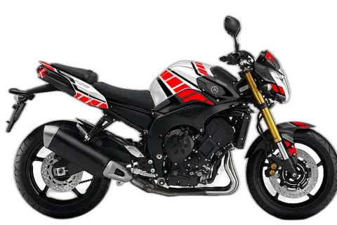 Yamaha FZ-8N (MY2010)